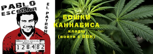 COCAINE Горнозаводск