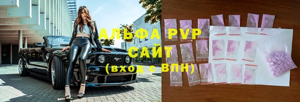 ECSTASY Горно-Алтайск